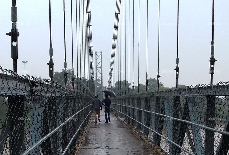 people walking on hanging bridge