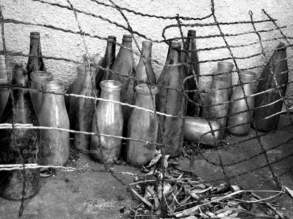 A find of old bottles. A find of old bottles hiding behind old wire