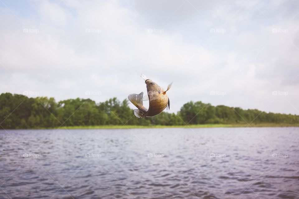 Fishing
