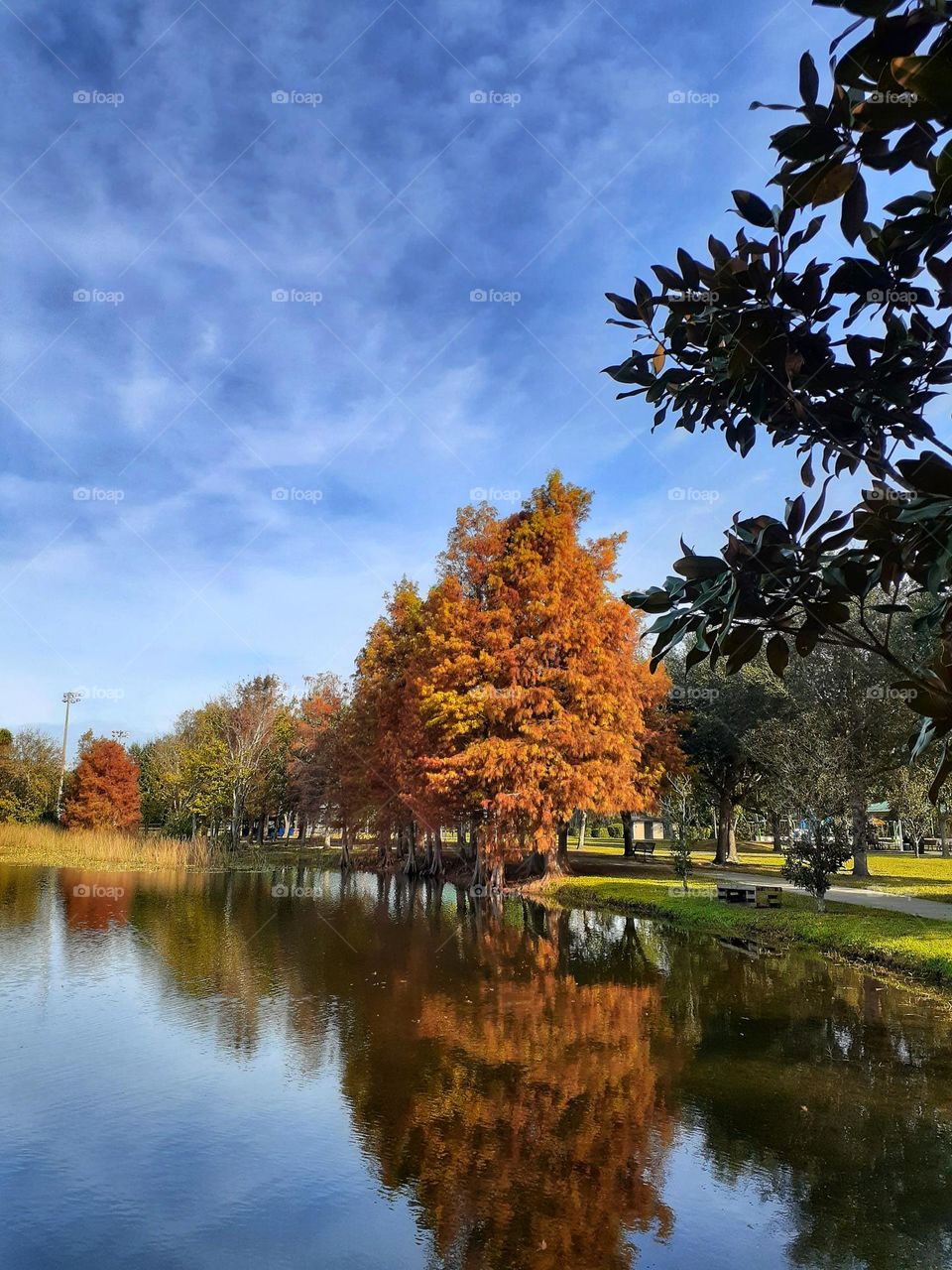 A beautiful, peaceful, and serene view of the lake and shore at Secret Lake Park in Casselberry, Florida.