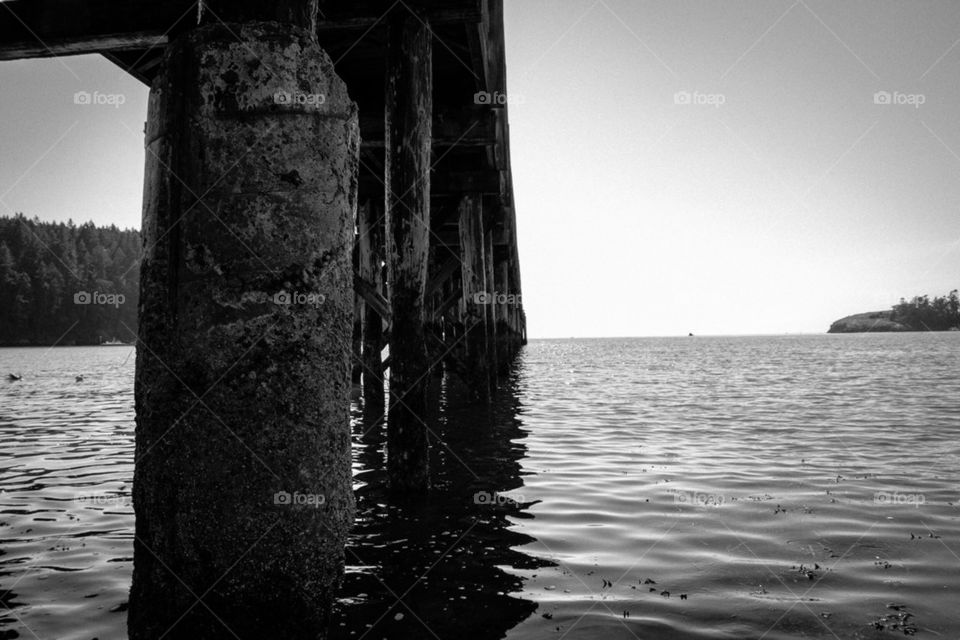 Docks on the ocean