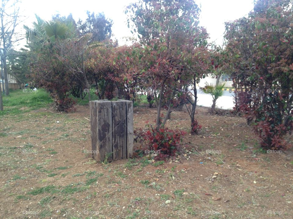 Old wood rubbish at park garden in amman city in jordan
12/3/2016