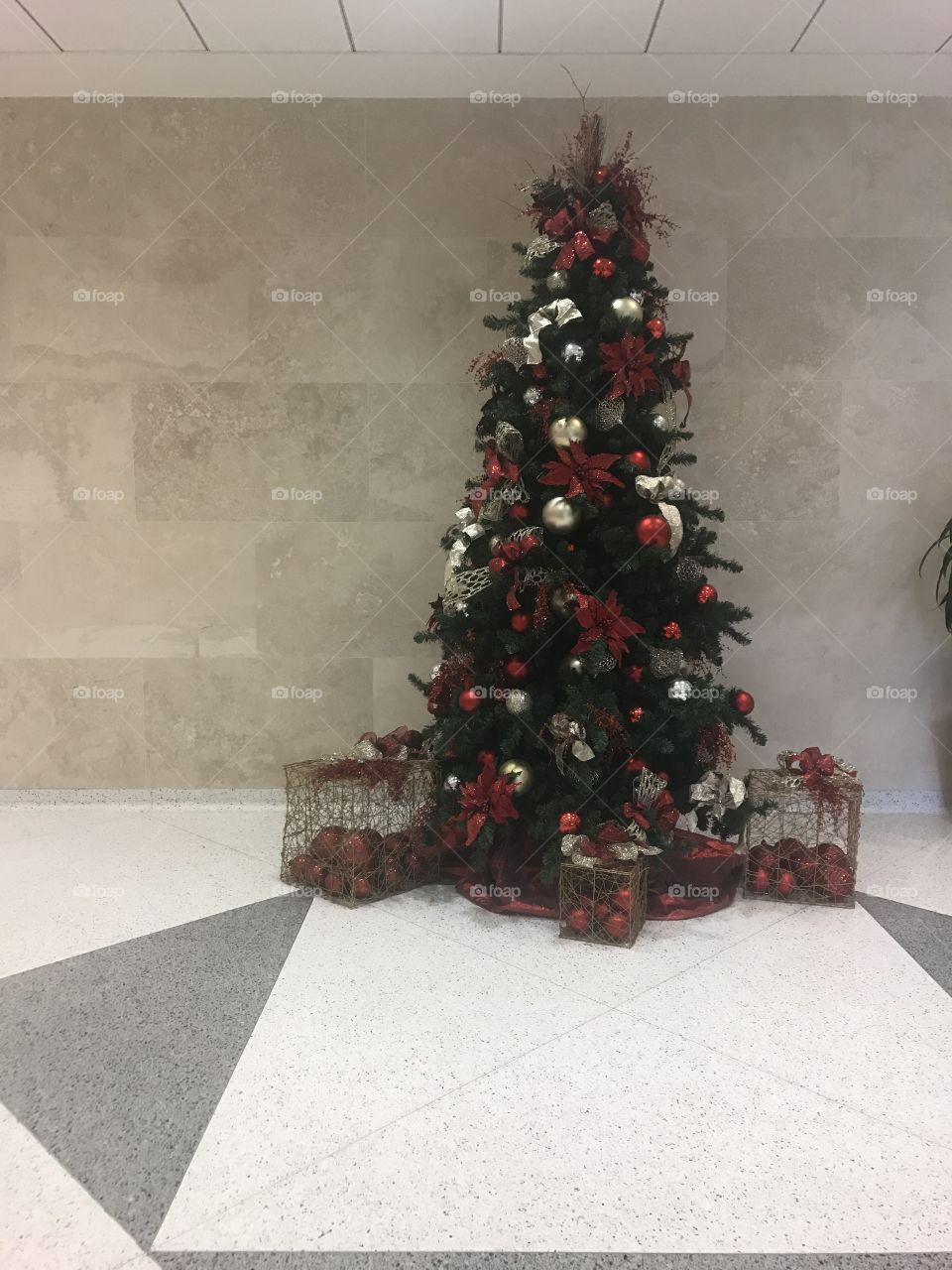 Tall Christmas Tree 