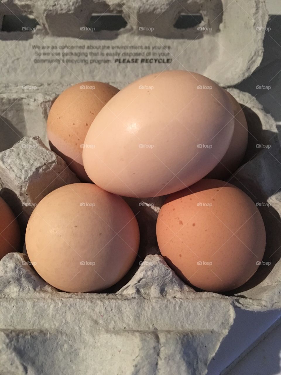 Farm fresh eggs