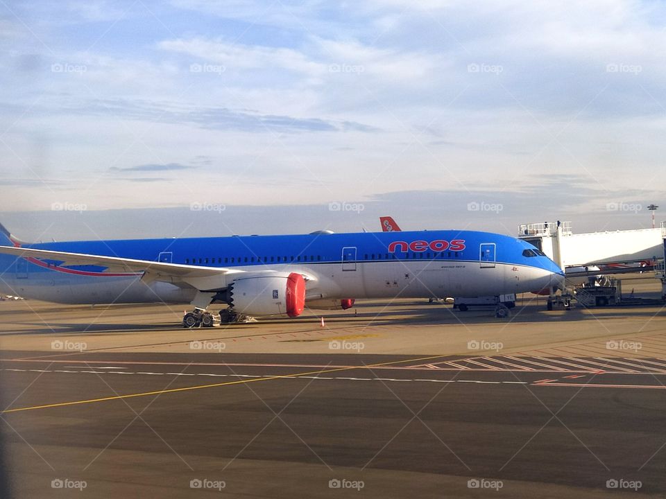 The plane is on the runway.  Airports of the world.  Italy