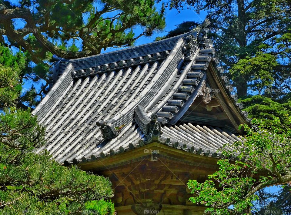 Japanese Architecture . Japanese Architecture Demonstrated In Shinto Shrine
