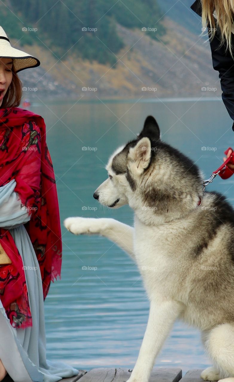 Beautiful blue eyed husky dog on red leash offering paw to woman wearing red dress by beautiful turquoise lake, at Lake Louise in Canada's Rocky Mountains