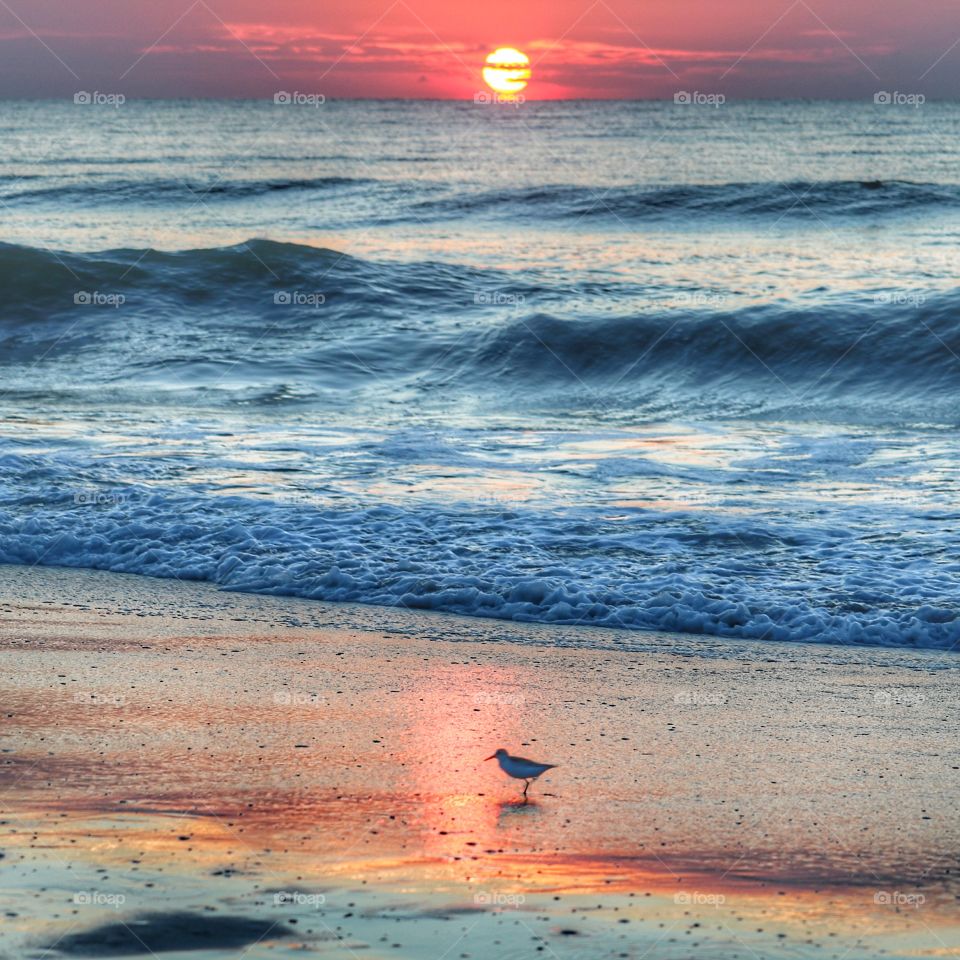 beach sunrise