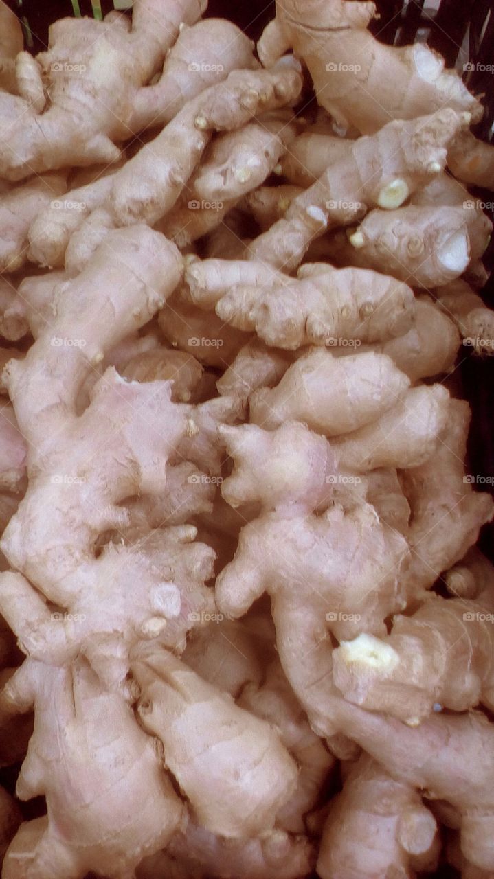 Abundence of spice healthy fresh tropical ginger