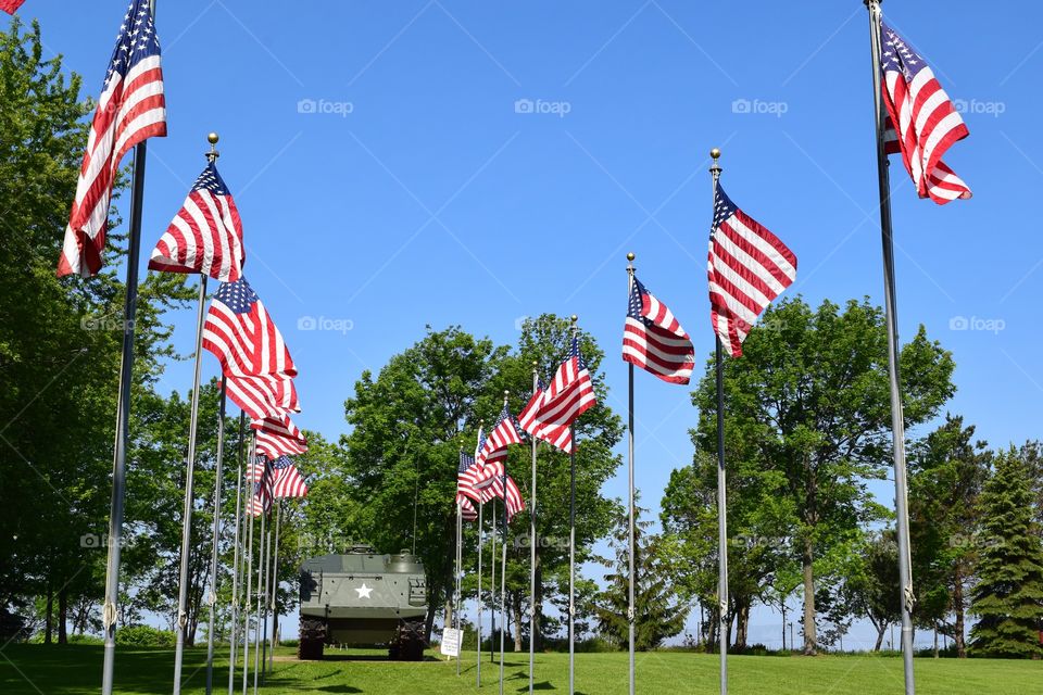 USA Flags for Memorial Day