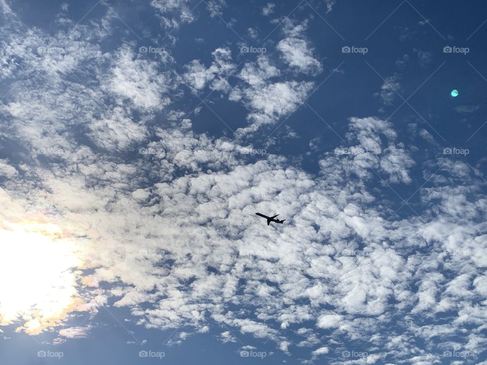 What a great sunny day for a trip across the great blue sky. The clouds are there to ease the way. 