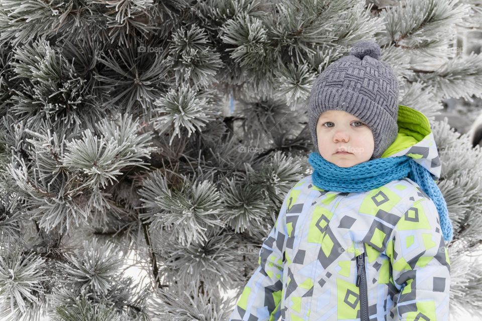 A small, carefree boy walks in winter through the white snow in the park, near the trees in the snow.