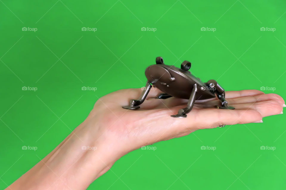 Metal frog