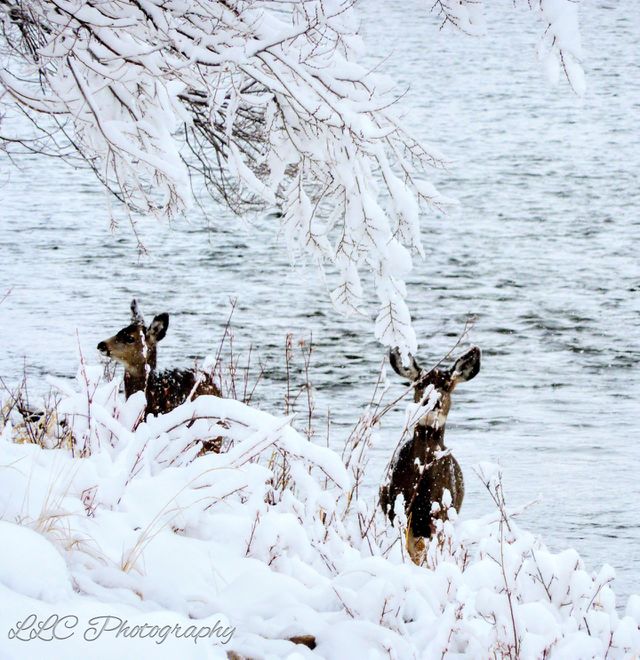 At River’s Edge
