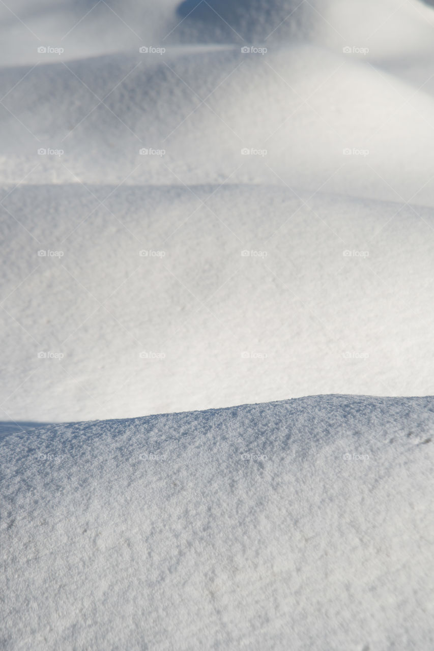 Close-up of snow on field