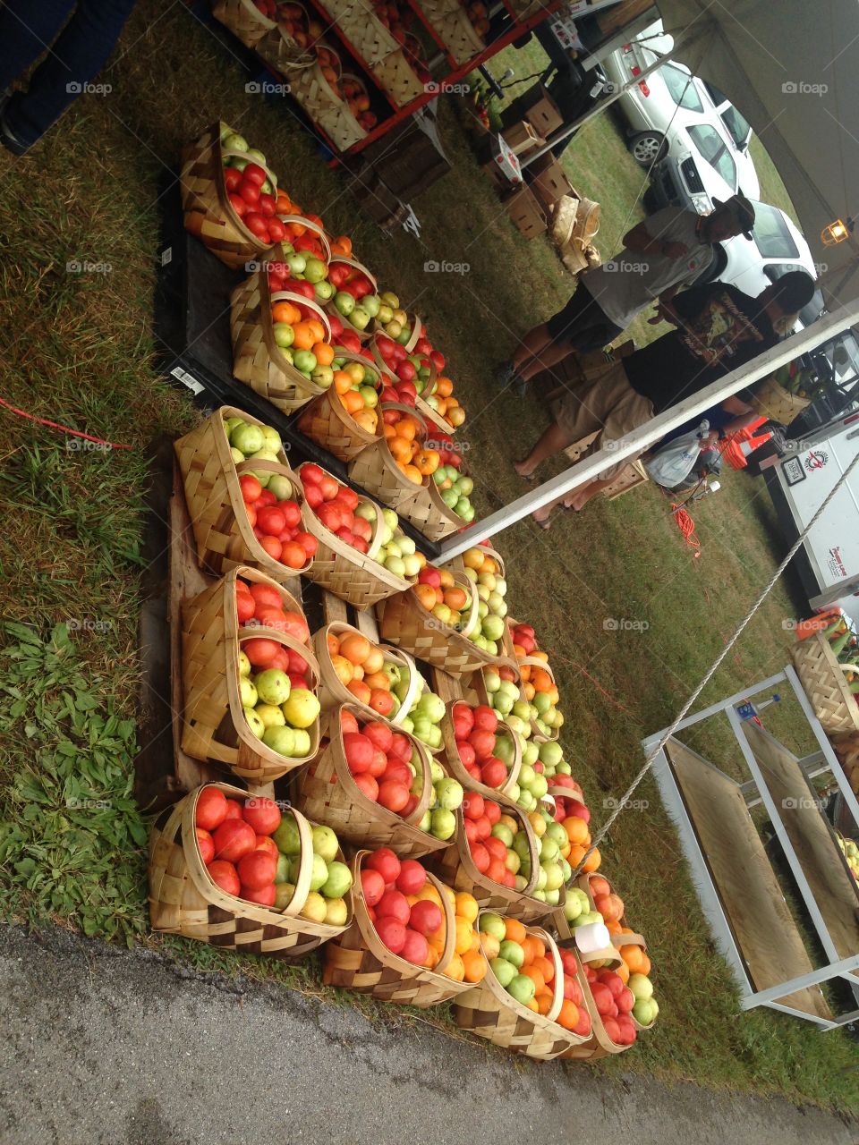 Grainier County, Tennessee, Tomato festival produce booth.