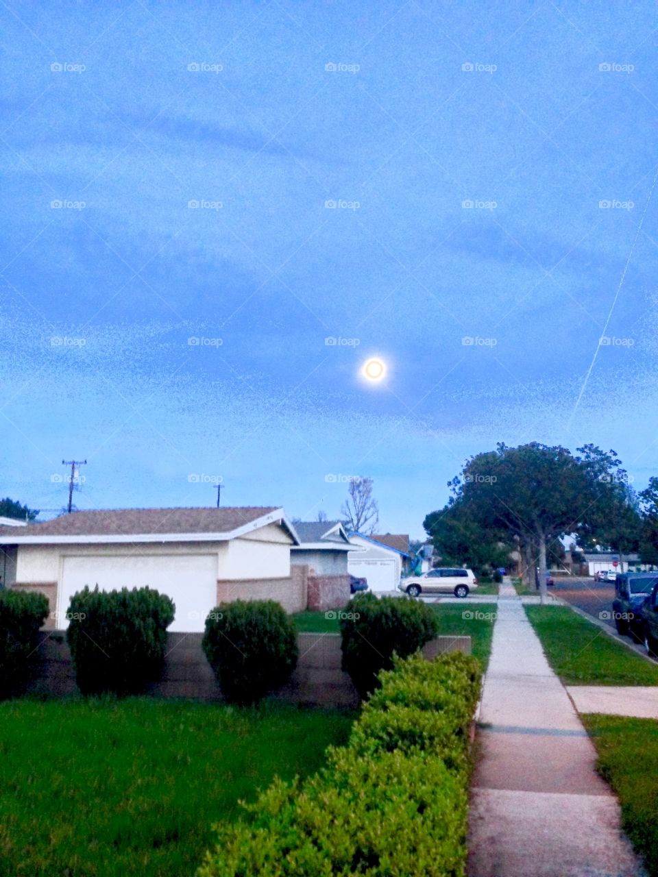 Almost Night Time

Published by:
HappyBrownMonkey 