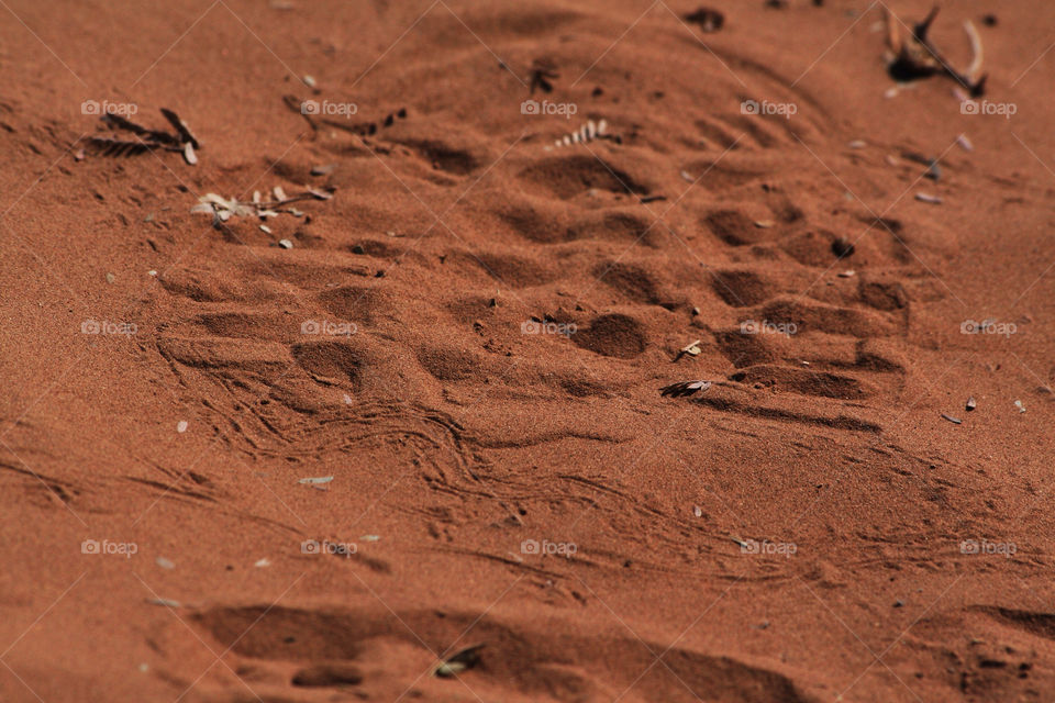 sand step desert human by nader_esk