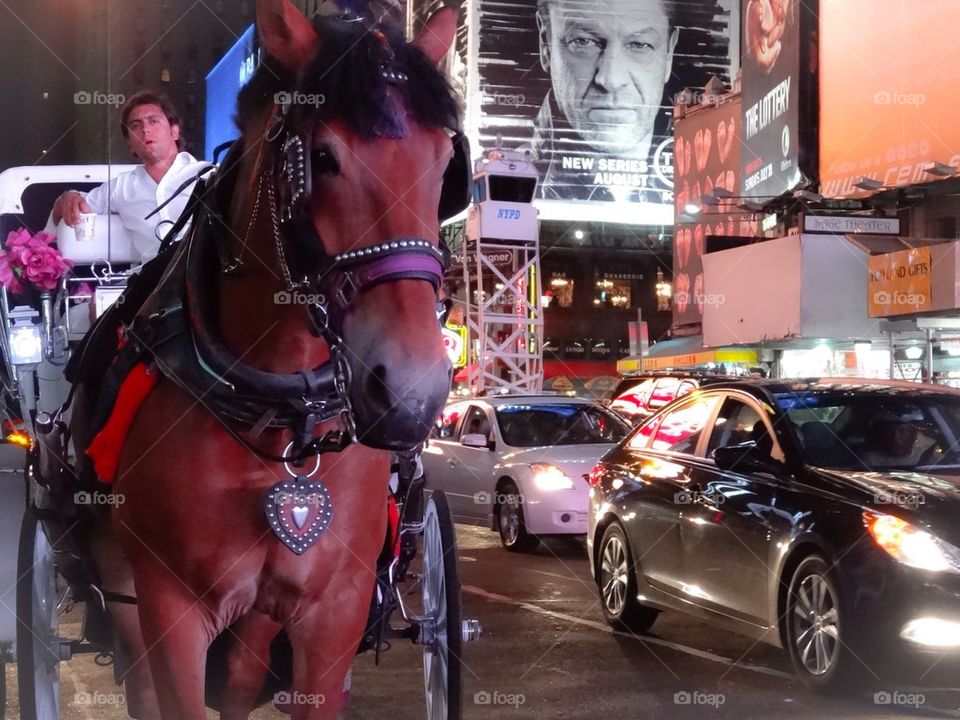 Times Square Horse (brown)
