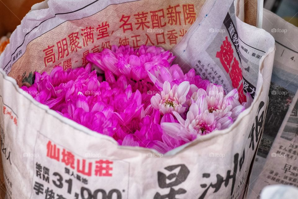 Beautiful flower at Thai market