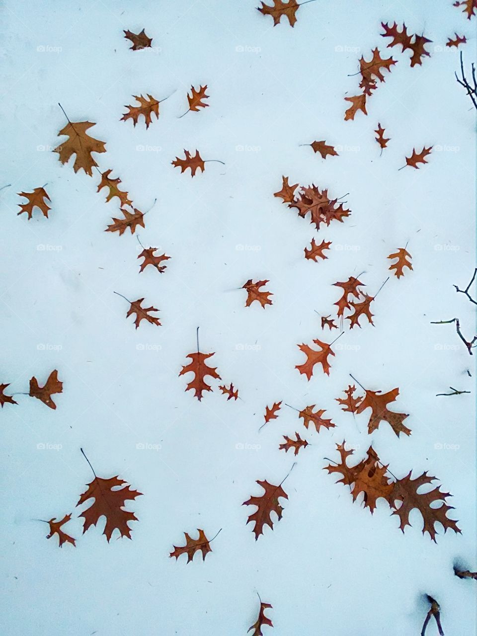 On the ground, or in the sky?