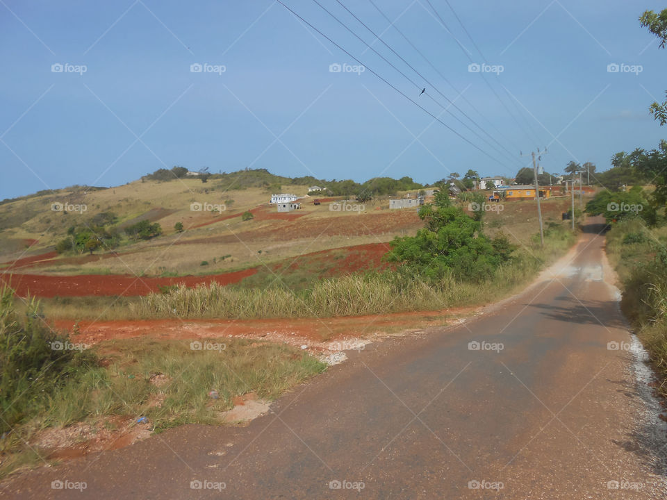 Landscape View From Road