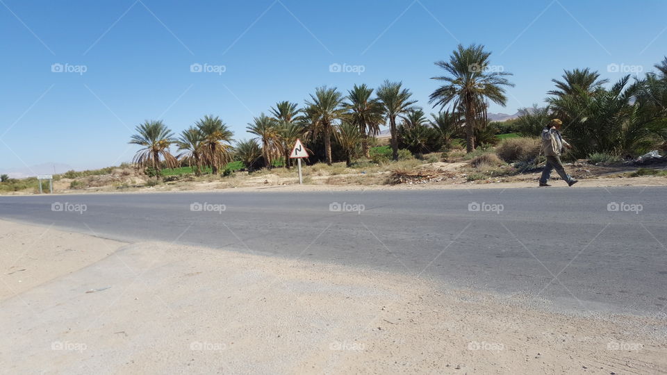 road bir lebrach desert