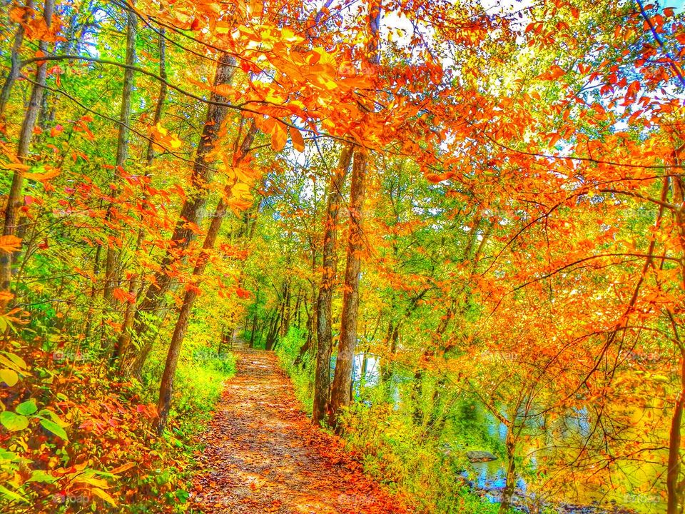 Fall hiking trail