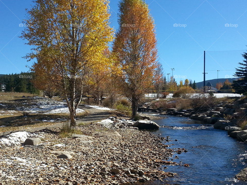 Autumn Pathway and Riverway