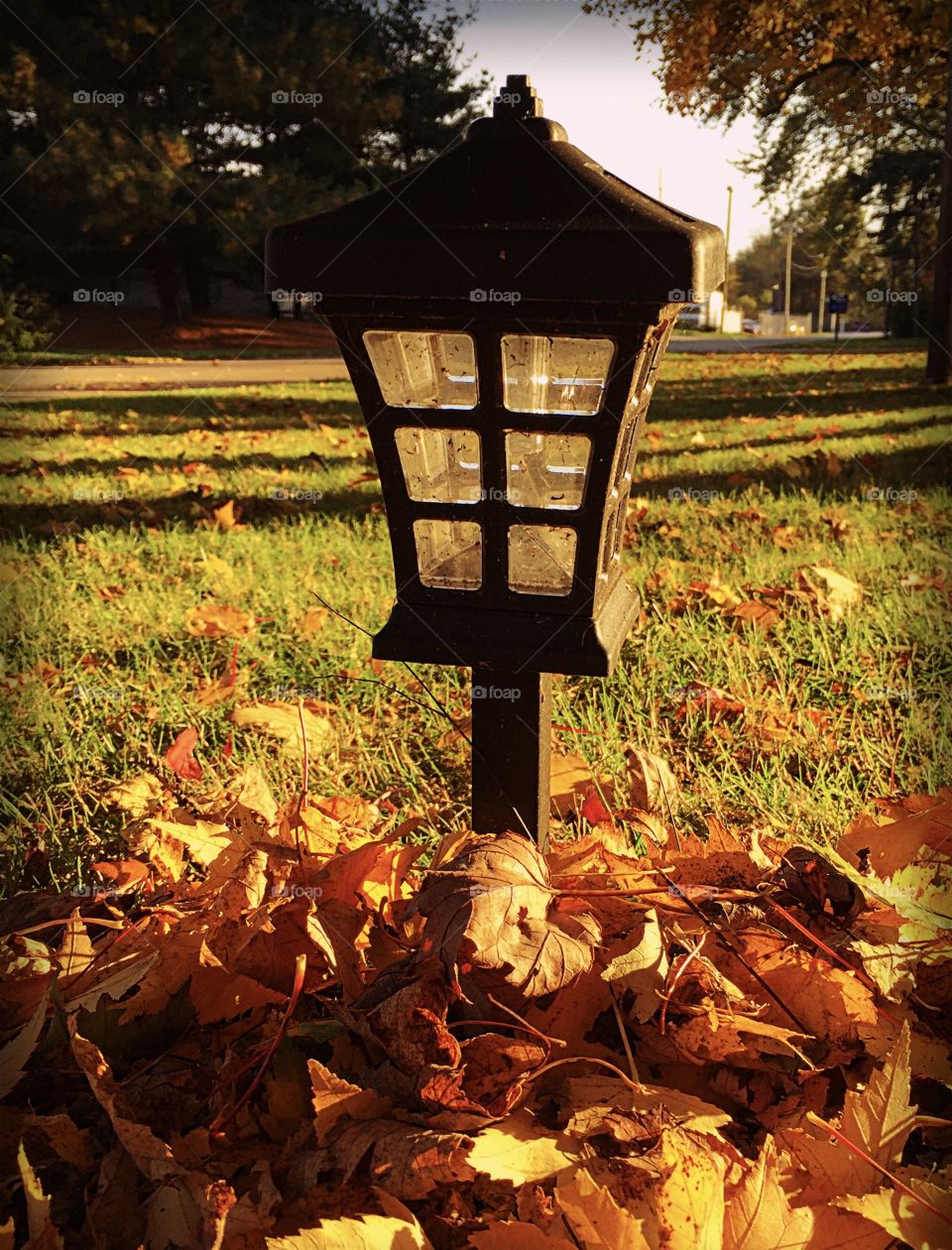 Lamppost in autumn leaves