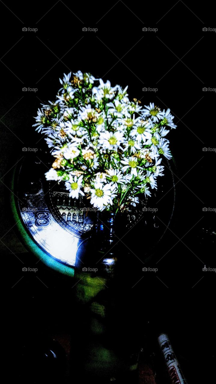 Decorative flowers in the dark.