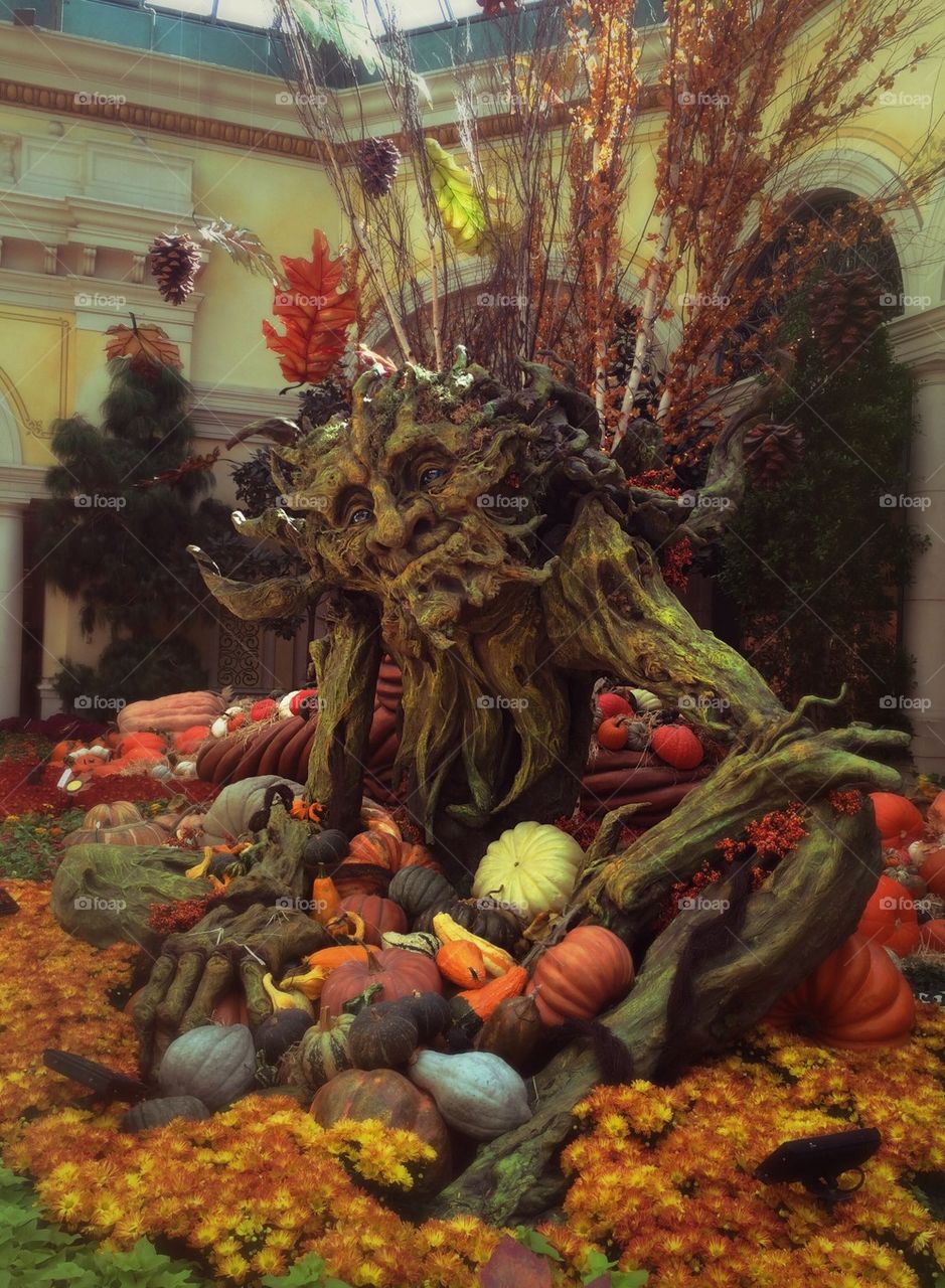 Fall troll