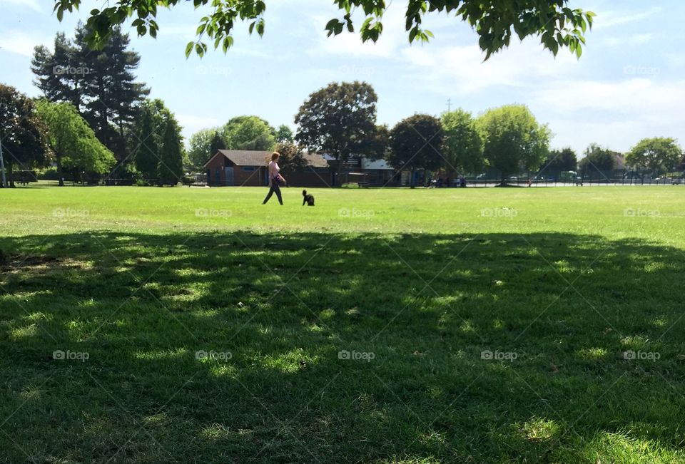 Cute dog walking her owner #apologies 