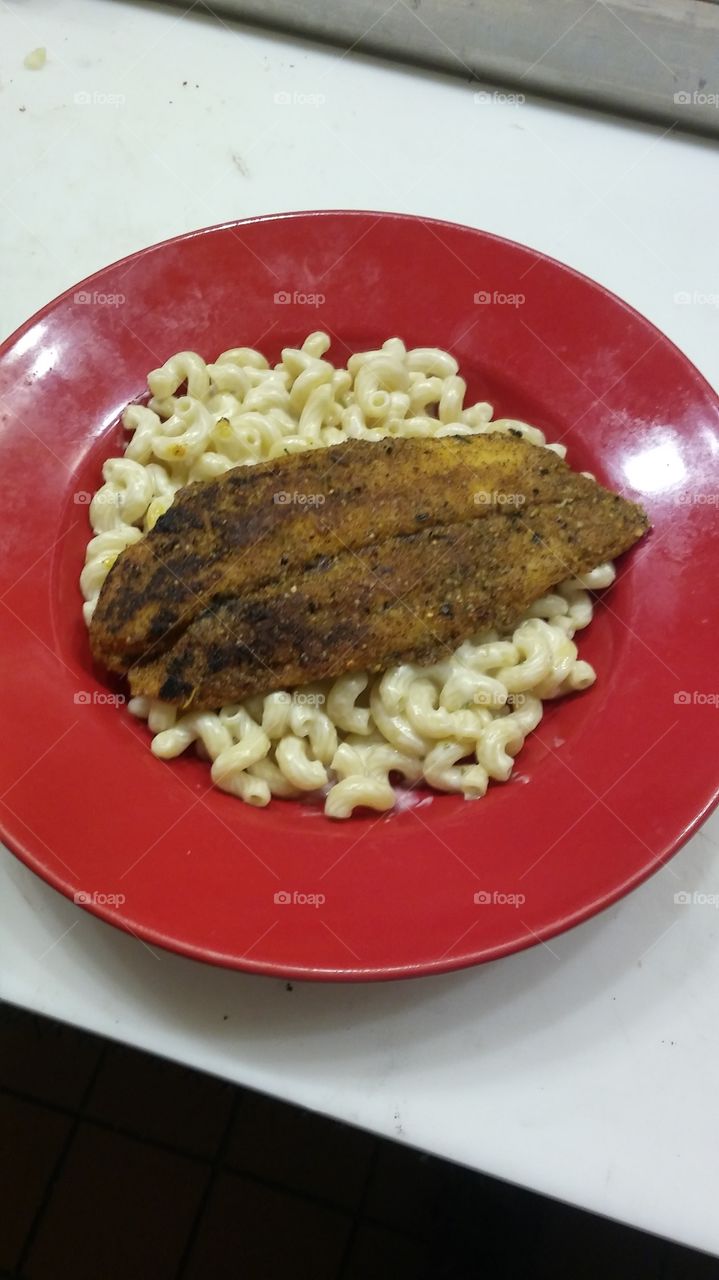 Cajun grouper / Alfredo cavatappi noodles