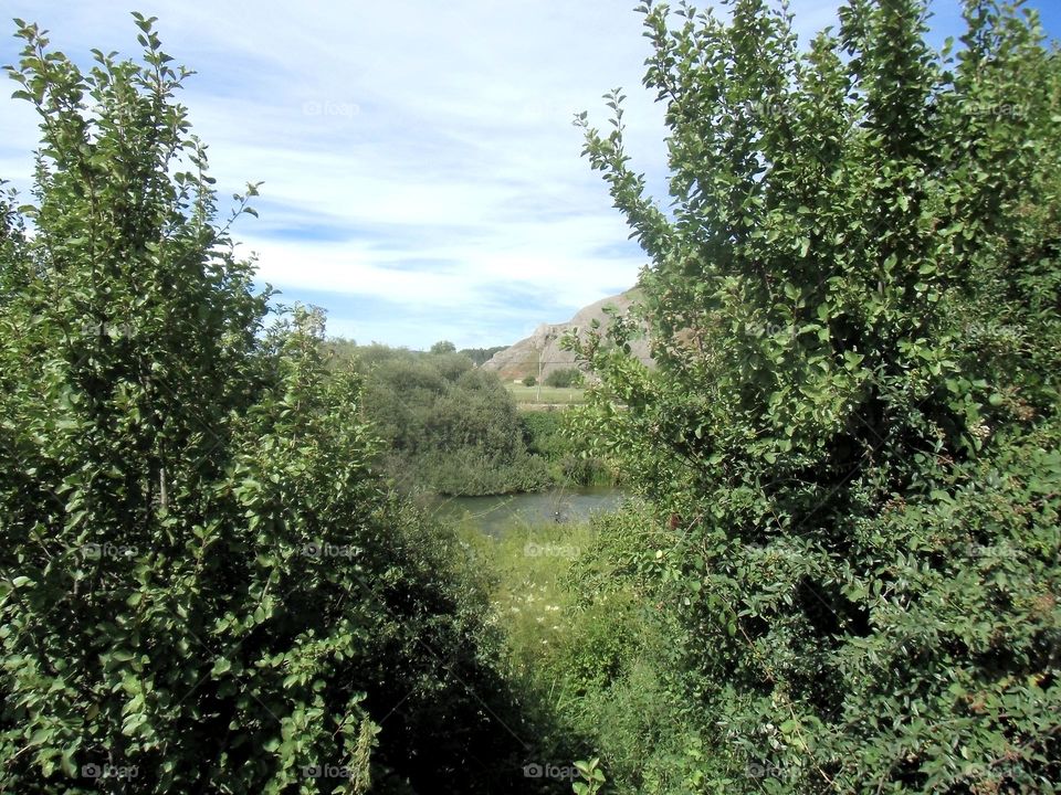 Paisaje con árboles y río