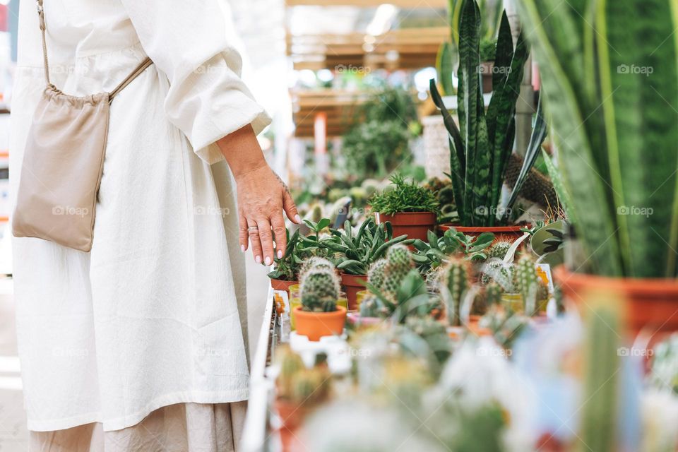 Crop photo of middle aged woman in white dress with cactus in pot in hands at garden store
