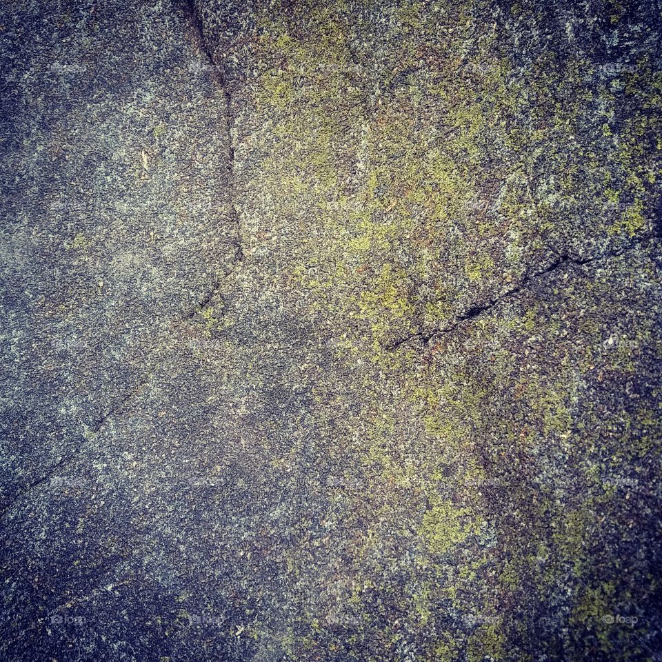 Rock, Moss, and Lichen Textures 03