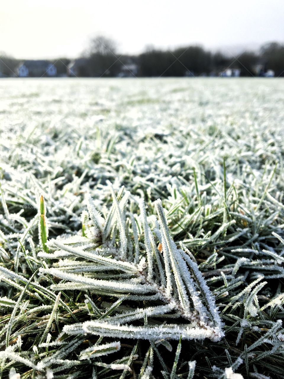 When temperature drops to minus❄️