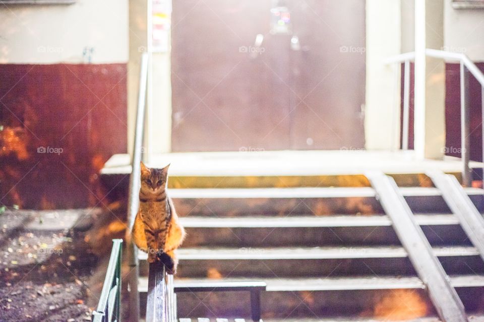 Indoors, Window, No Person, Wood, Flame