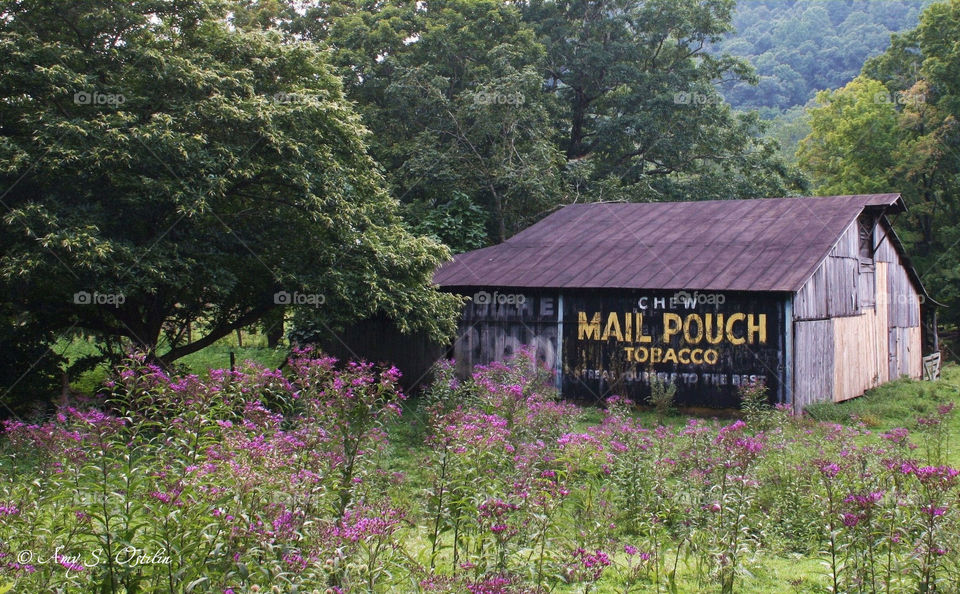 Mail Pouch Barn 