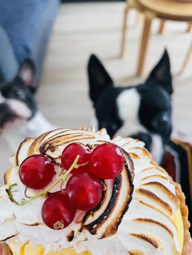 Pâtisserie française, et mes Chiens