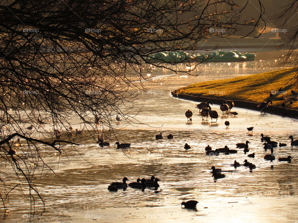 winter in the park