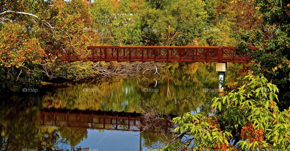 Bridge reflection