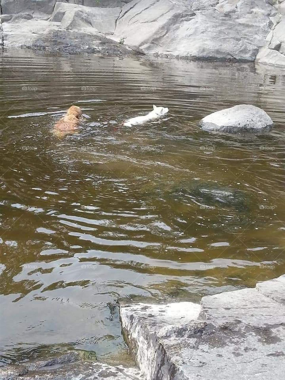 Snow and Maya Pulperie...