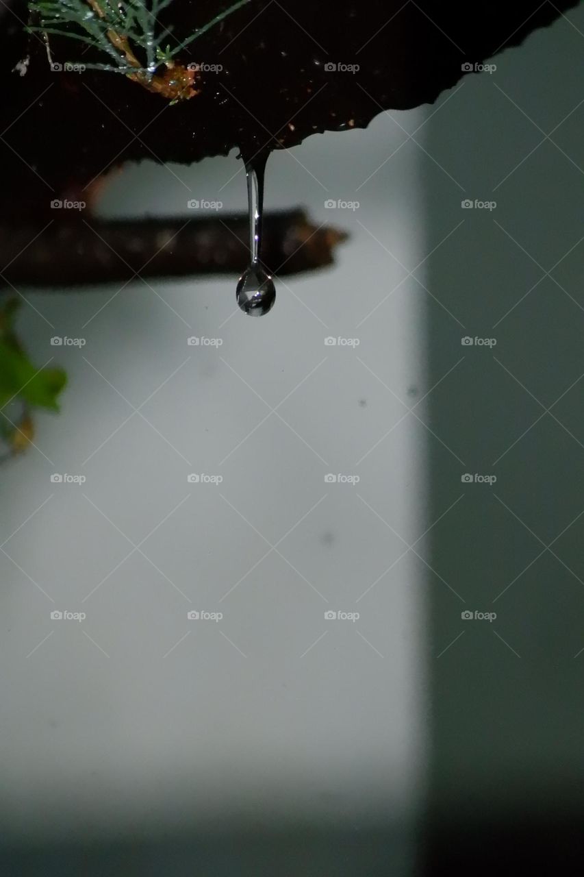 water drop