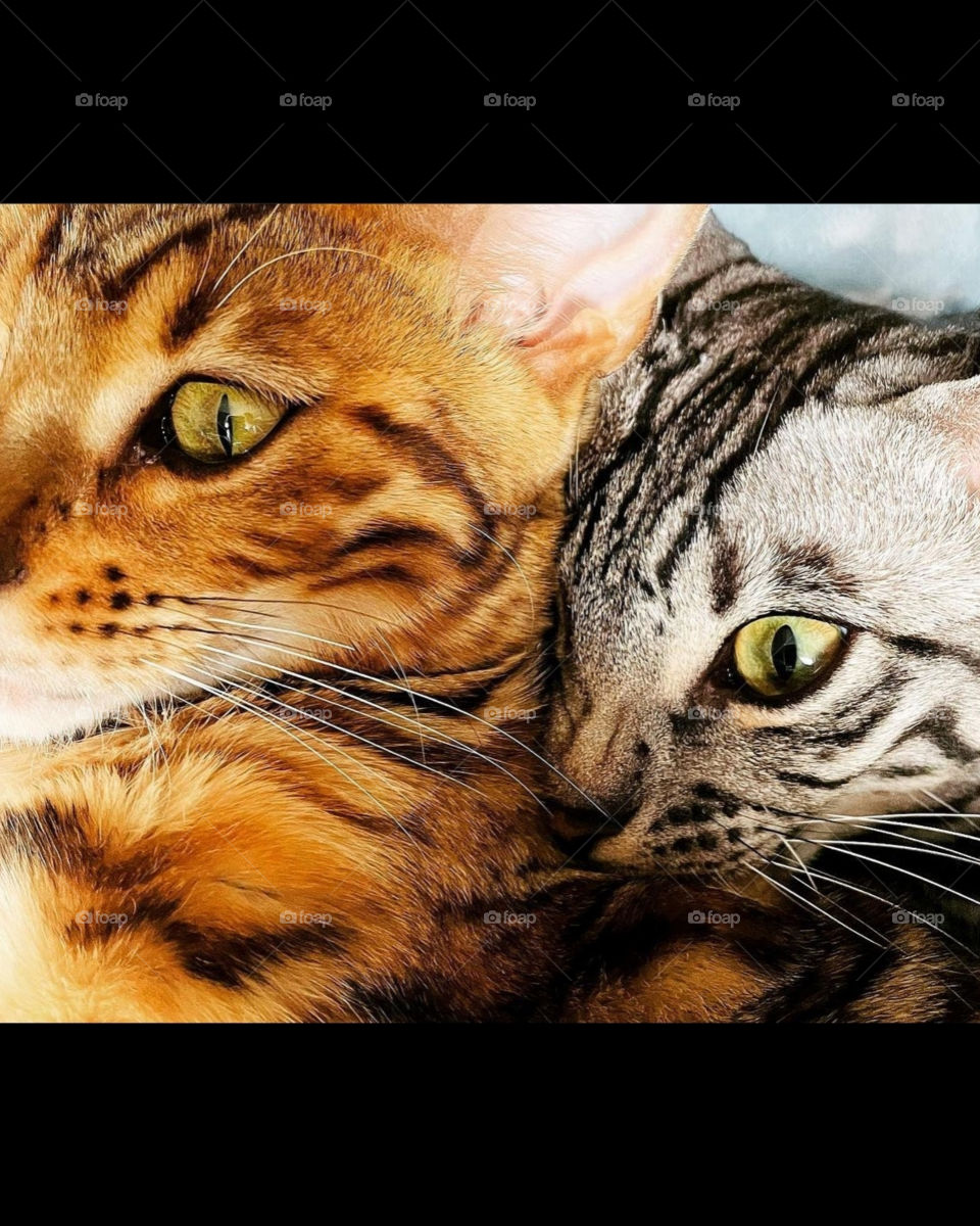 We are only different because there exists something to be different from, and it is this difference that bonds us.
YIN YANG ☯️ HARMONY OF LIFE