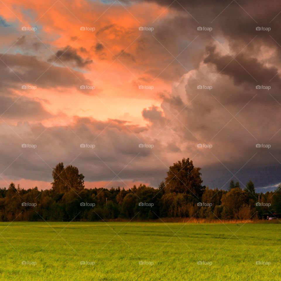 Field with green grass and dramatic dark sky. thunderstorm and sun