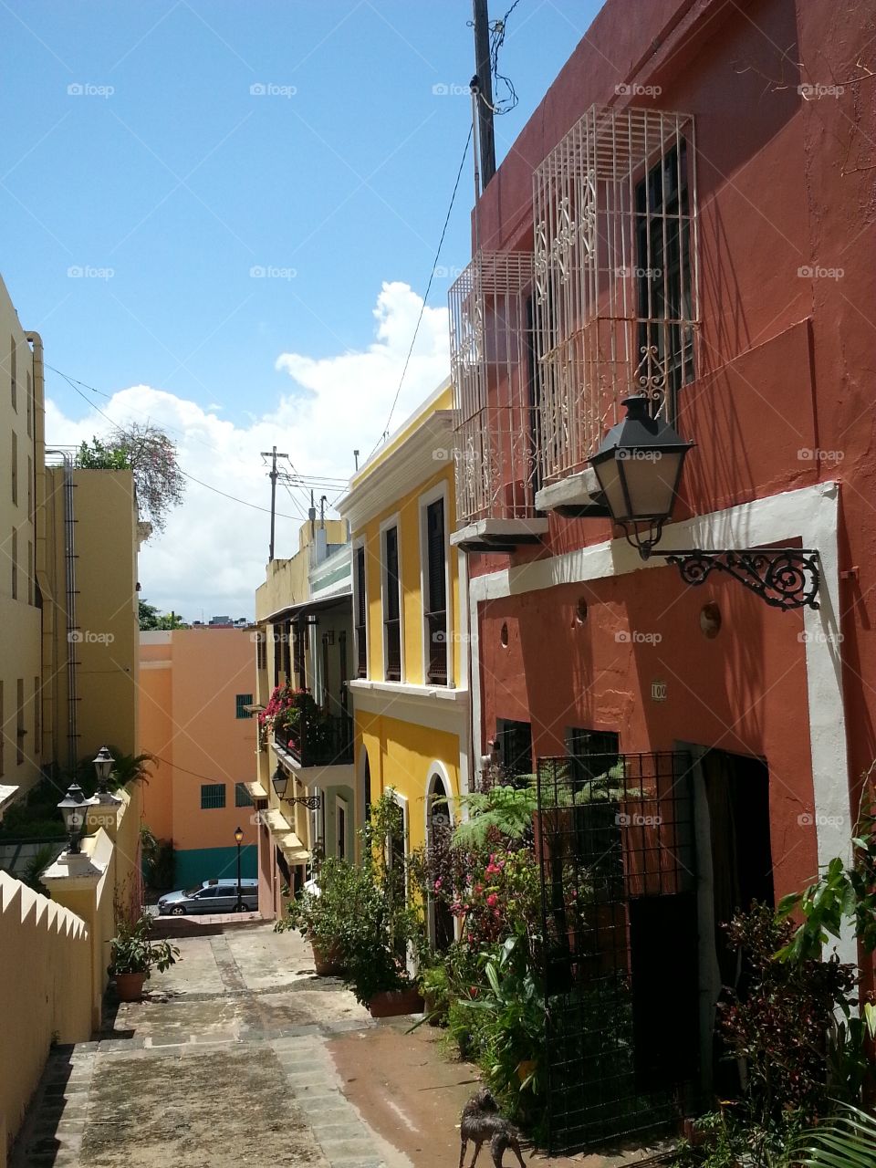 Viejo San Juan, Puerto Rico- colorful dwellings