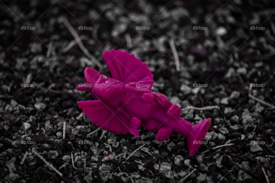 Розовый игрушечный дракон