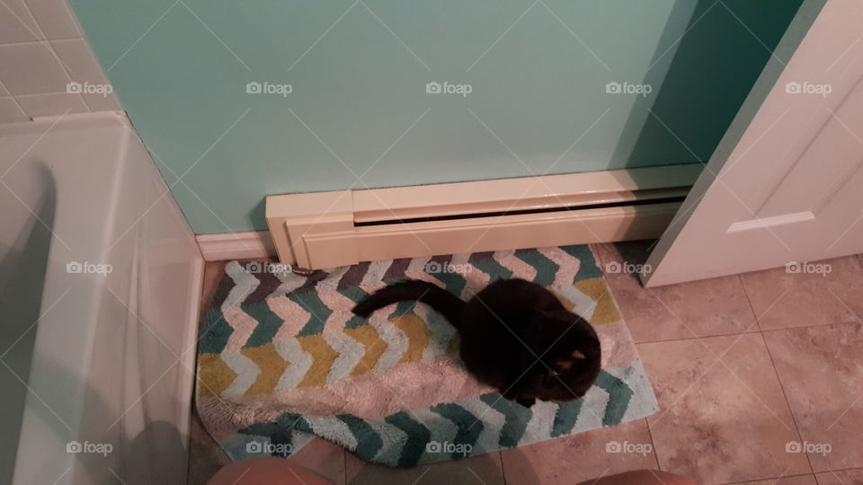 no privacy in bathroom